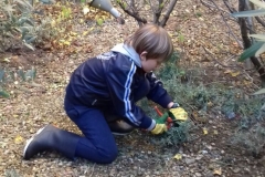 Jeune jardinier amateur
